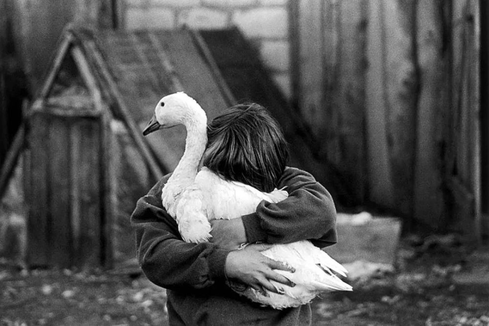 白俄罗斯|白俄罗斯，存在感怎么这么弱