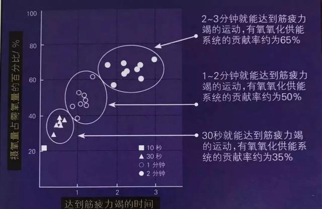 有氧运动和无氧运动哪个更减肥过量氧耗是关键
