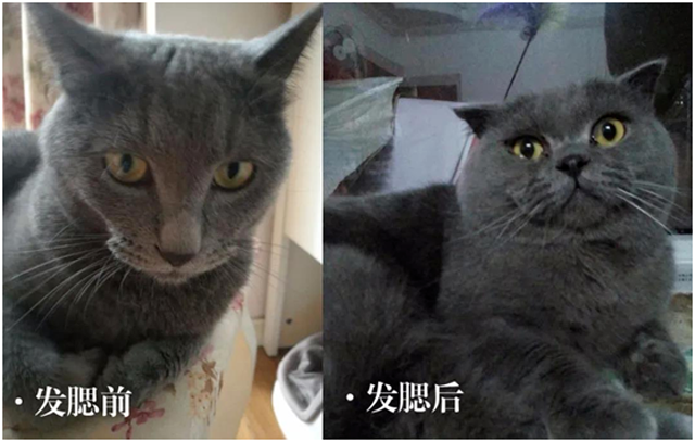 连明星也逃不过的发腮有多可怕我赶紧摸了摸脸