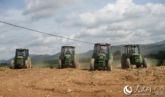 村六黎屯的田野里,4台"铁牛"正在一块玉米地里耕作,两台犁地,两台耙地