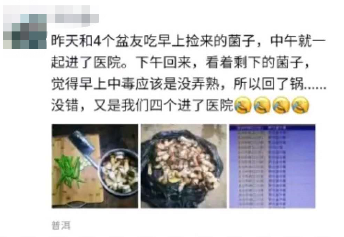蘑菇|这样的蘑菇千万不要吃！小心吃完见小人！