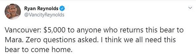 瑞安·雷诺兹|加拿大女子丢失玩具熊几近崩溃，获好莱坞影星出资数万元悬赏支持