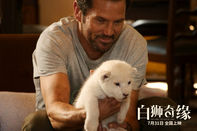 电影白狮奇缘定档预售开启猛宠治愈2020剩余进度条