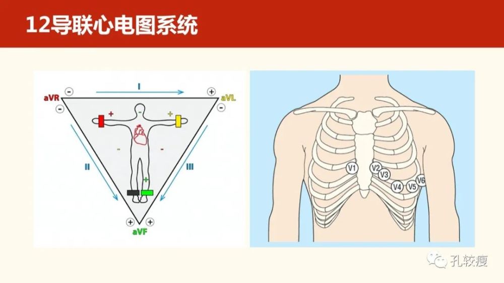 導聯基礎及圖形識別