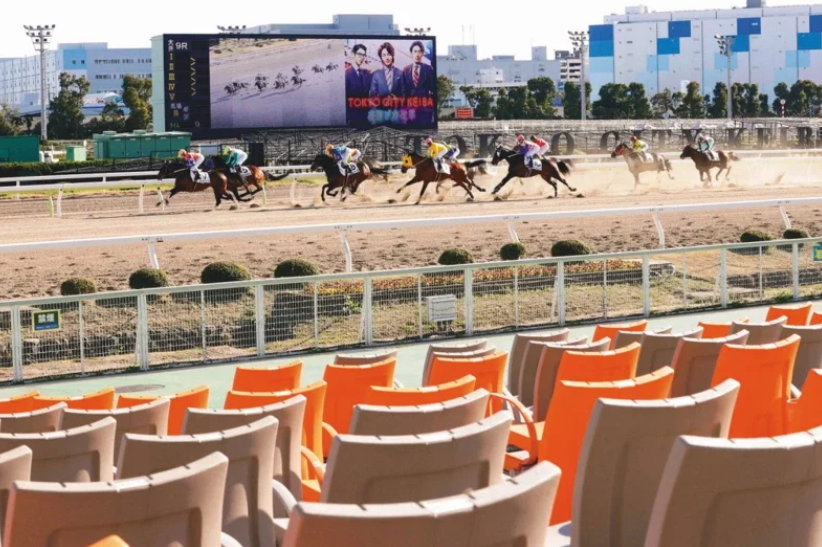 日本_社会|中国男子在日本赛马大赚1.2亿 被征缴6600万税金