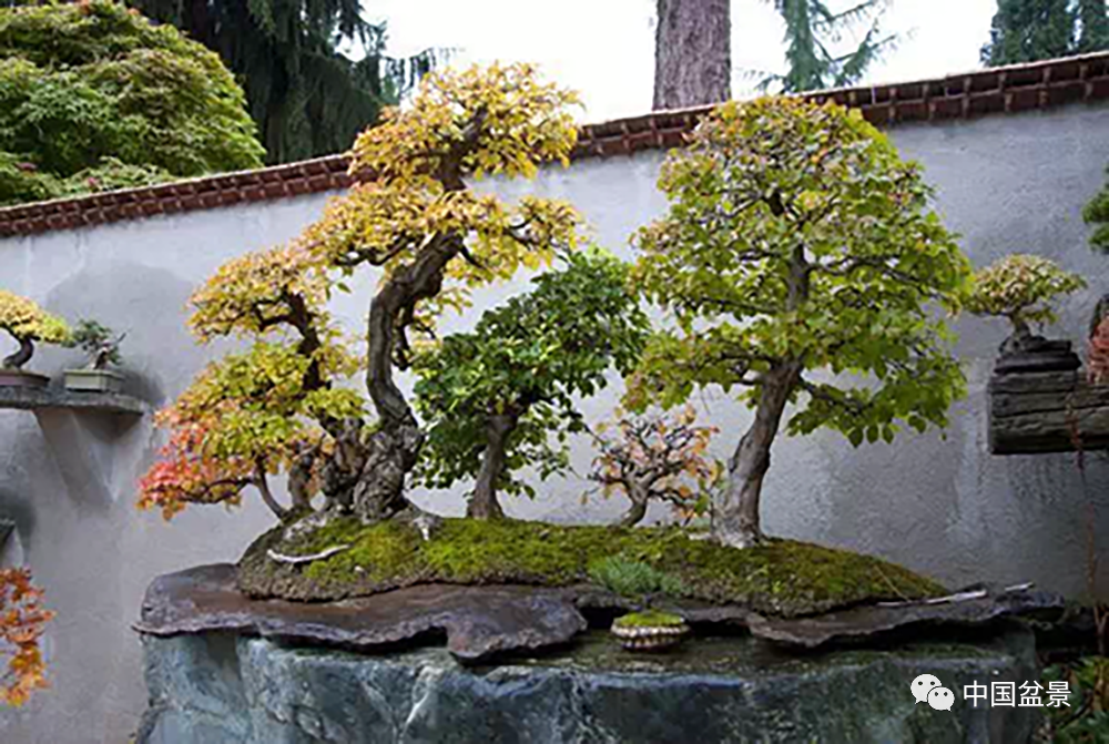 想要一方小院从此不闻天下事