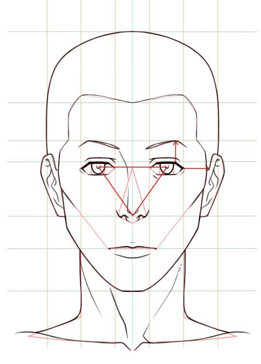 人物鼻子画法的最强分析如何画出一张好看的脸鼻子结构很关键