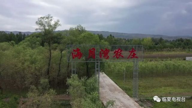 快速通道驱车二十分钟,掩映在红花绿柳之间的海月湾农庄就映入了眼帘