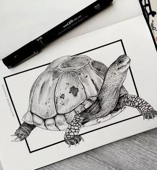 写实动物黑白插画作品赏析