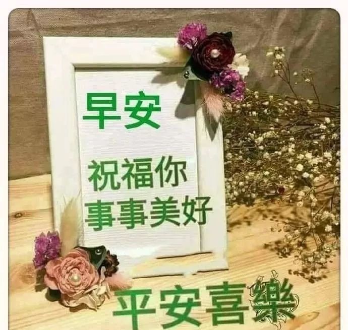 重陽節早上好問候祝福圖片推薦 早上好簡短的祝福語美圖