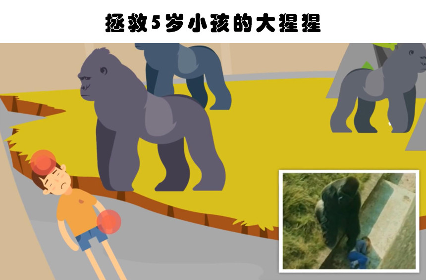 救人性命的动物在面对生命危险之时拯救了人类生命的6种动物