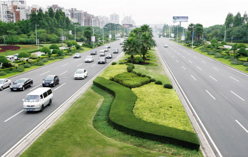 城市道路绿化设计技巧|植物|乔木