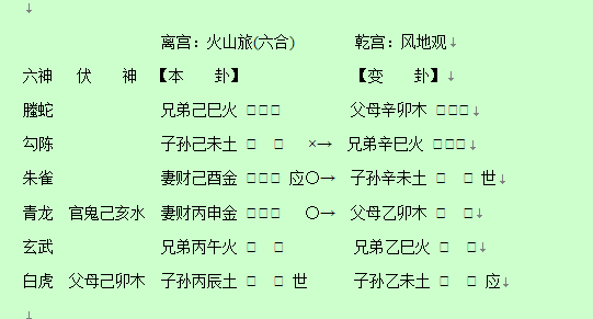 六爻断卦名例赏析93