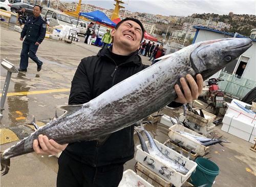 买鱼时 看到这四种鱼千万别犹豫 全都是野生鱼 健康鲜美超好吃 鲭鱼 小黄鱼 带鱼 海鱼