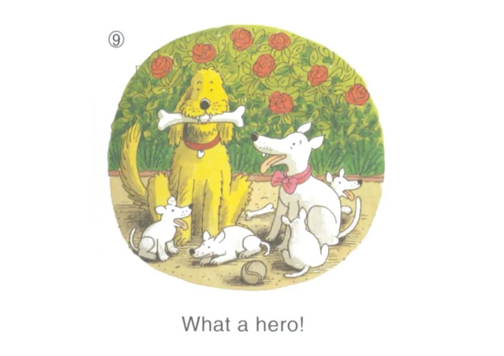 芭迪熊绘本floppythehero