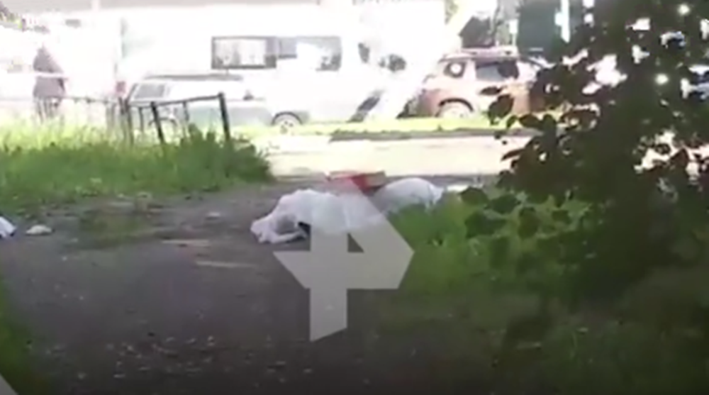 俄罗斯圣彼得堡|俄罗斯路边惊现被女性碎尸，警方锁定其丈夫为幕后真凶