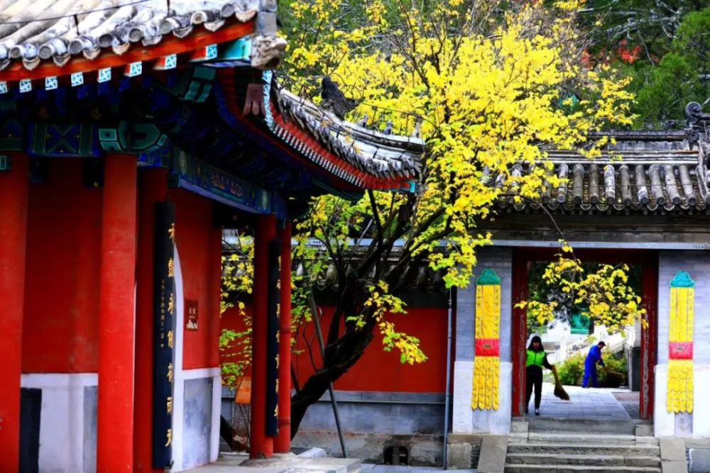 門頭溝潭柘寺,戒臺寺景區主要殿堂有序恢復燃香