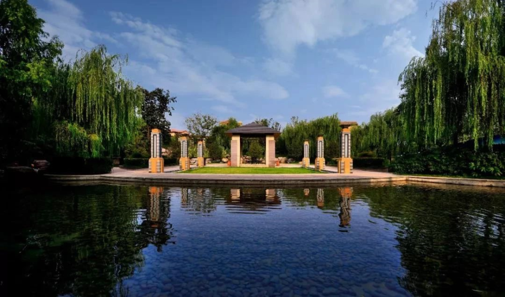 紫荆山南路照堵不误南龙湖爱你有多难