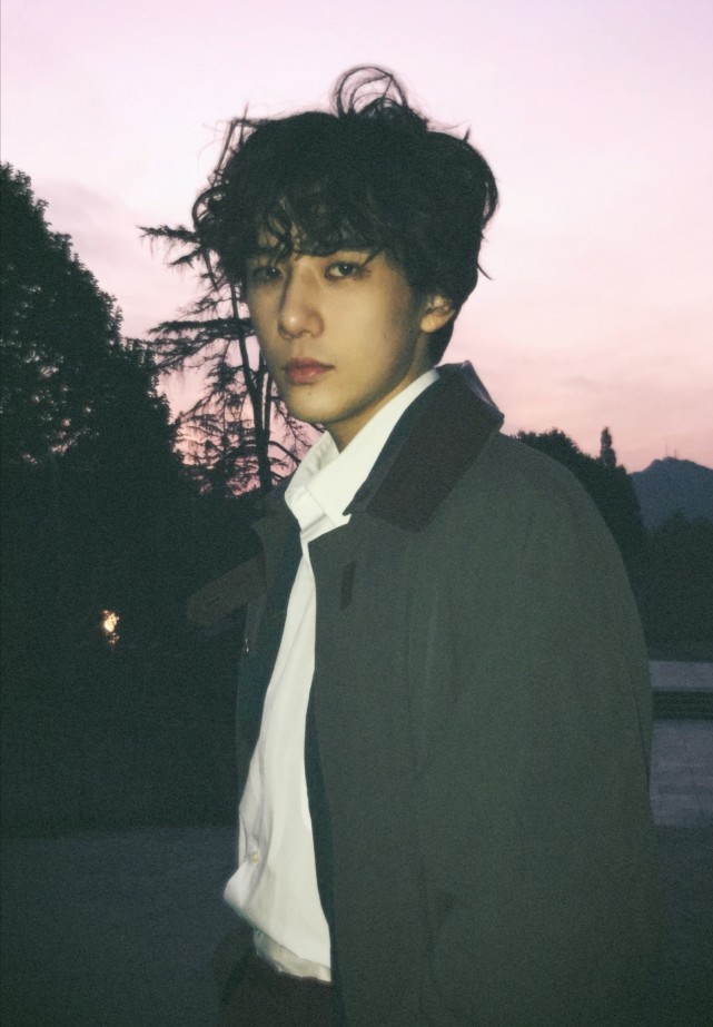 二十不惑段振宇的扮演者中国传媒大学校草王安宇