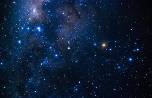 宇宙|把树叶放大300万倍，会怎么样？科学家：这简直是一个“宇宙”