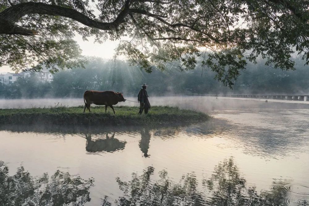 钟石|改变自己是神，改变别人是神经病