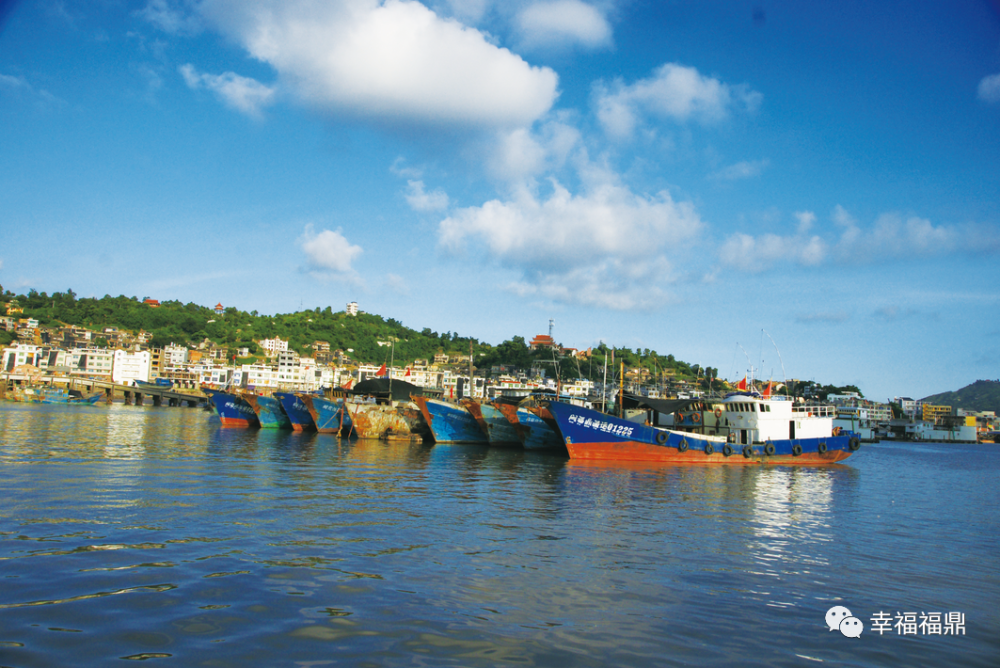 水生村渔民郑燕燕的新型渔排上,除了养殖网箱外,客