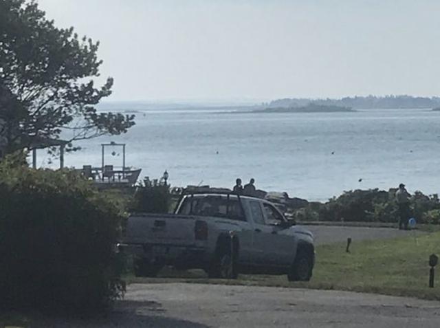 缅因州|美国一女子在海岸游泳被鲨鱼袭击致死，皮划艇手营救无效