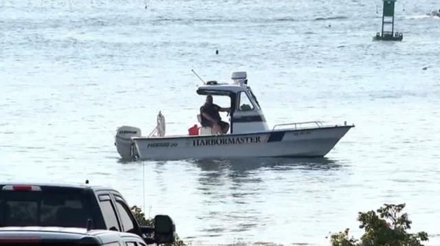 缅因州|美国一女子在海岸游泳被鲨鱼袭击致死，皮划艇手营救无效