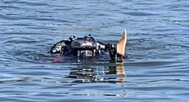 消防员|美国消防员花一小时水中搜寻，竟是为了找回一条价值14万的假肢