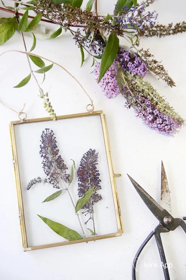 美丽的押花卡片,跟着教程三步就可在家完成,diy手工干花