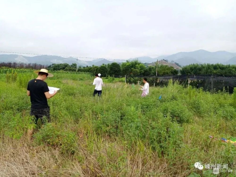 列入2020年浙江省重點建設項目, 起點位於嵊州市甘霖鎮桂山村,終點