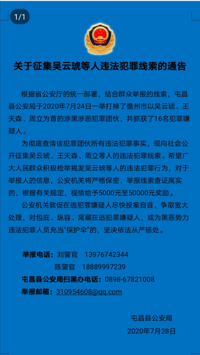 海南屯昌黑恶势力图片