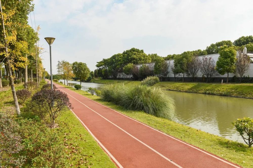 宝山罗泾镇成功创建上海市河长制标准化街镇啦