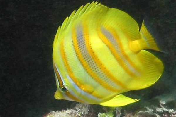 太漂亮了吧!_腾讯新闻