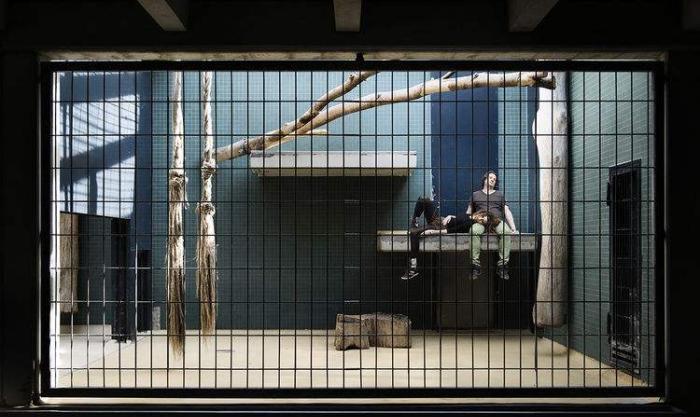 外国男女被关进"铁笼"里,在街头任人观摩,知道真正原由后直戳人肺管子