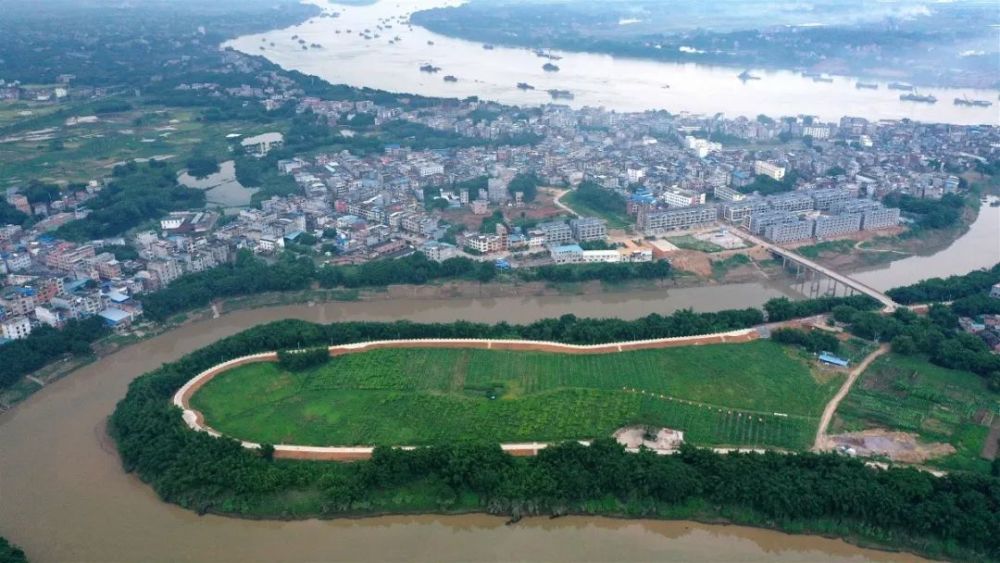 在大桂平有一个村子,可以吹江风,赏江景!