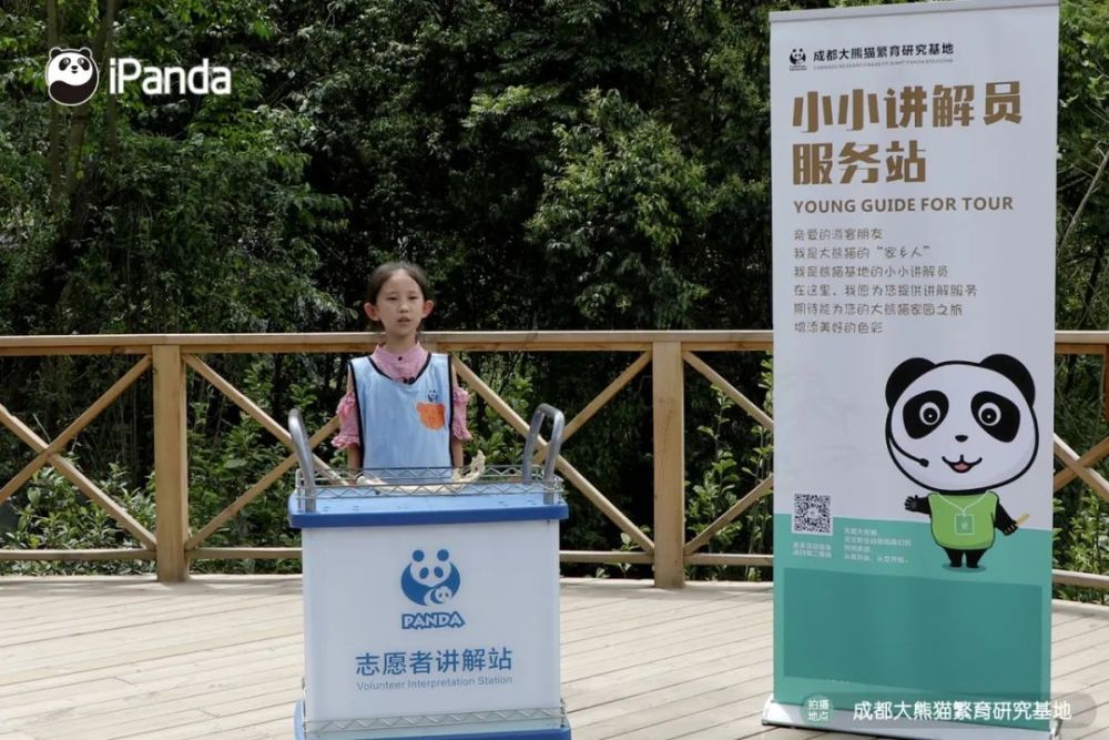 揭秘大熊猫身上那些"隐秘的角落"_腾讯新闻