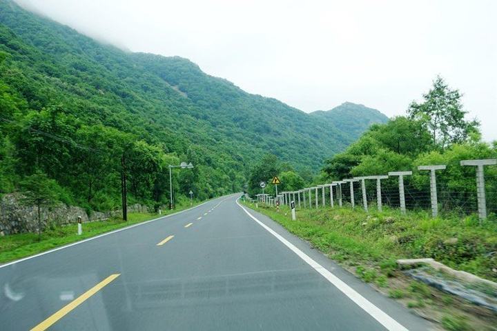 2020中国城市海外传_“精致城市幸福威海”2020中国·威海首届海洋放鱼节(2)