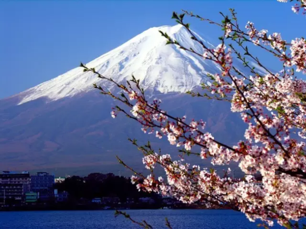 日本_时政|日本一企业将退休年限放宽至80岁 延迟退休渐成各国趋势