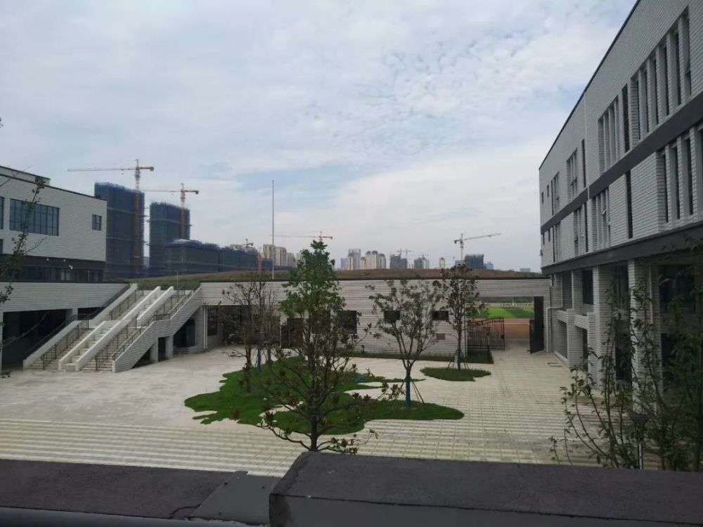 包河今年秋季3所学校投入使用!快看看是否在你家门口?