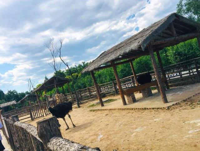 重磅太原動物園預計年底完工佔地面積將翻一倍你們期待嗎