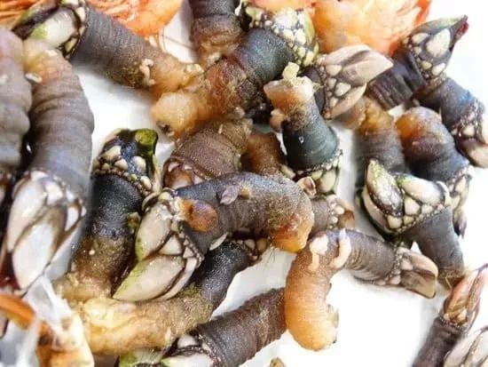 鬼脚,酿螃蟹,龙虾黄……这8种特色葡萄牙海鲜,你尝过吗?_腾讯新闻