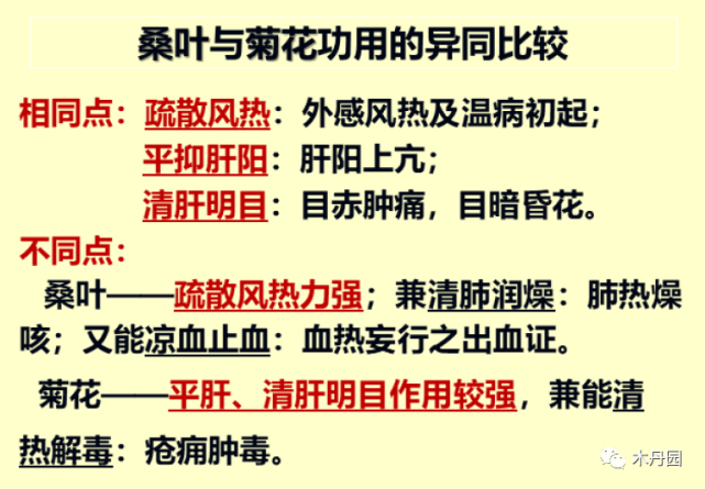 平肝明目疏风清热解毒药菊花的功效应用