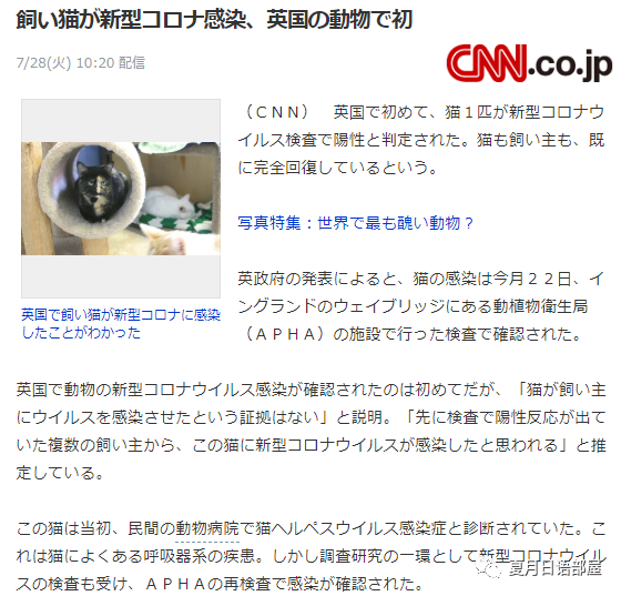 宠物猫被检测出新冠病毒 英国首例动物感染新冠病例 腾讯新闻