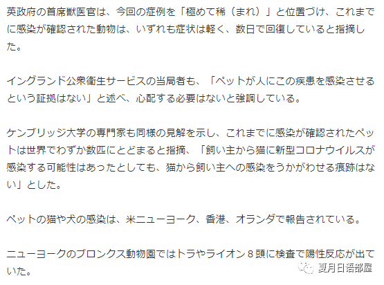 宠物猫被检测出新冠病毒？英国首例动物感染新冠病例_腾讯网