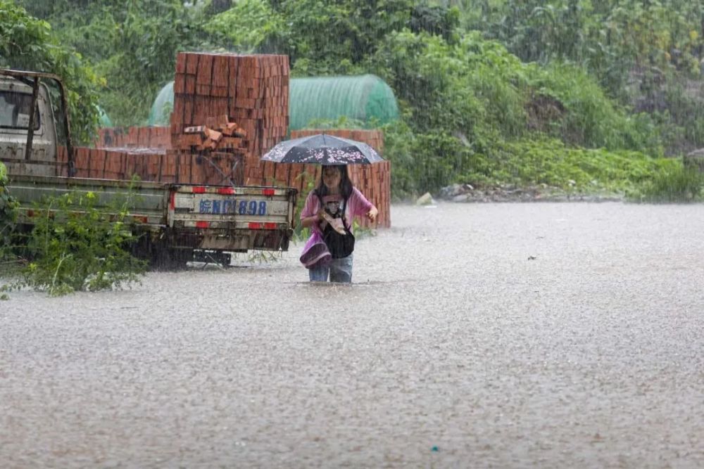 6月10日,我省江淮地區又進入梅雨期.