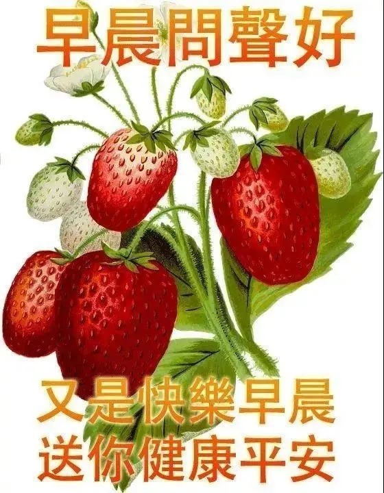 中老年早上好表情包聊天动态带字图片早晨问候表情包动态