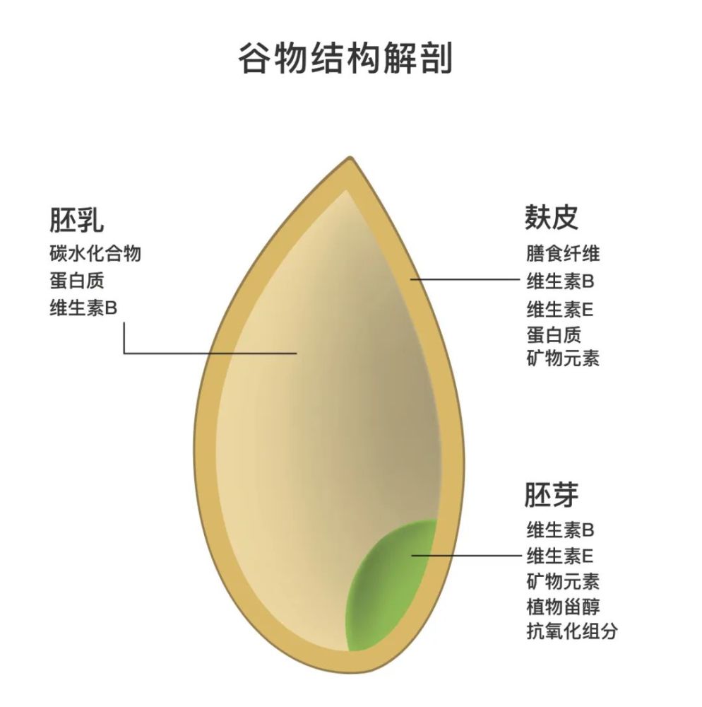 那些所谓的全麦面包只有1可能是真的