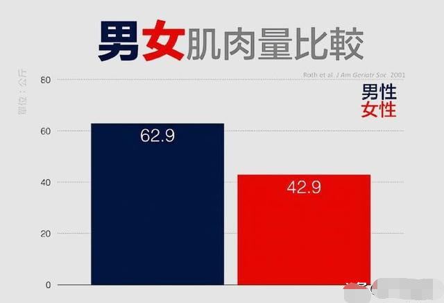 男女肌肉量比较