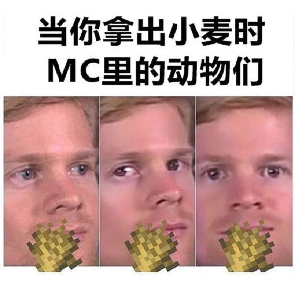 來自《我的世界》七張